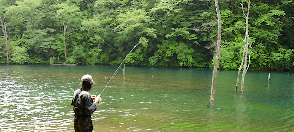 この写真のサイズ980x440です