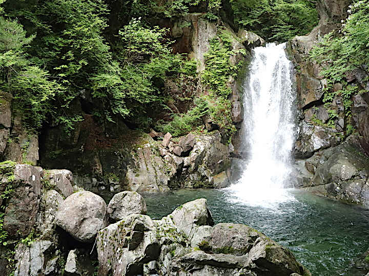 写真1