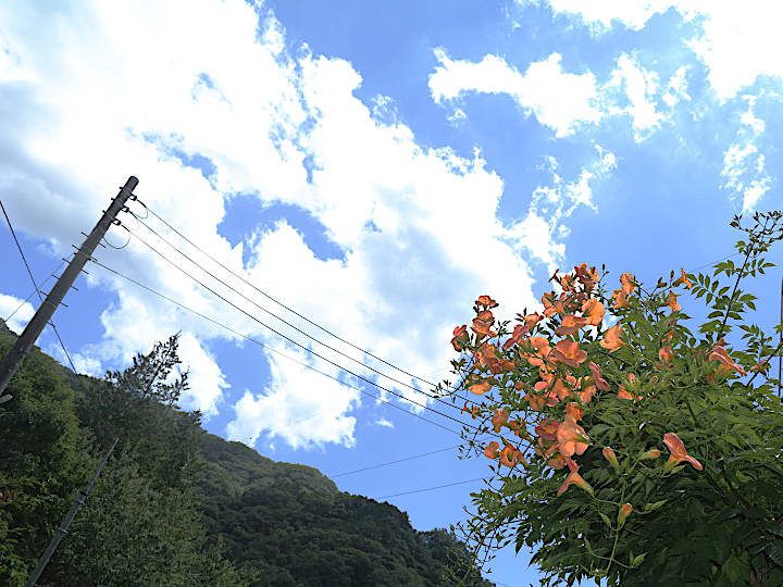 写真5
