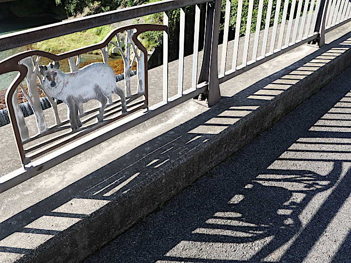 写真10