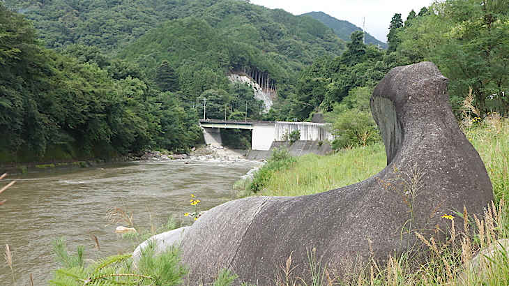 下流を見るオットセイ岩